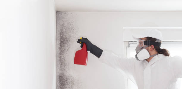 Polk City, FL Mold Removal Company