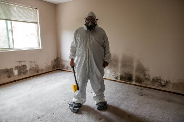 Best Commercial Mold Removal  in Polk City, FL
